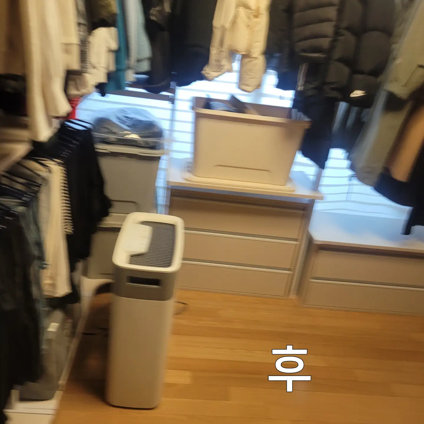 이미지 6