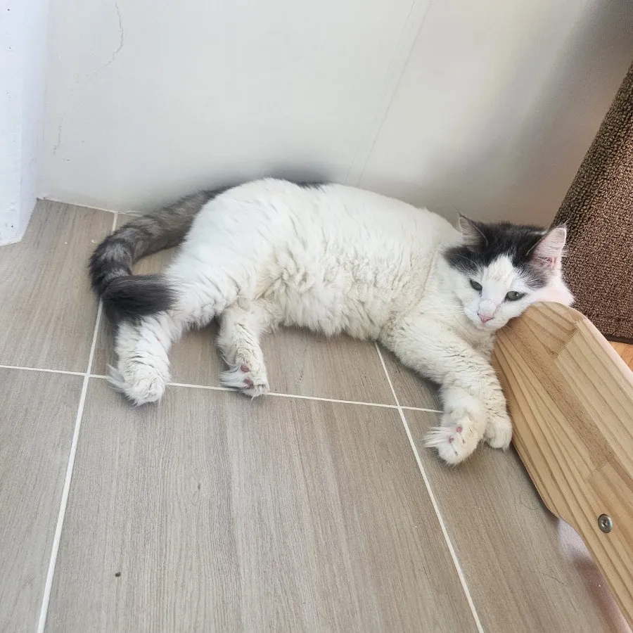 이미지 9