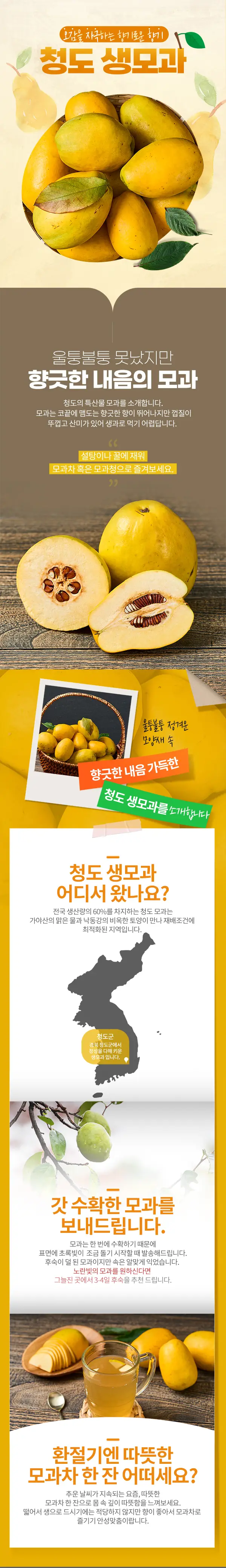 이미지 4