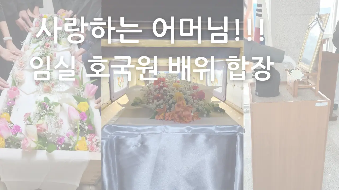 이미지 12