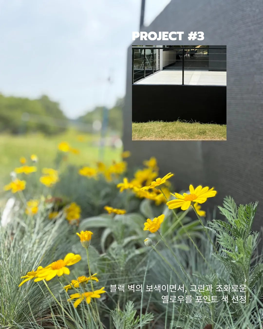 이미지 11