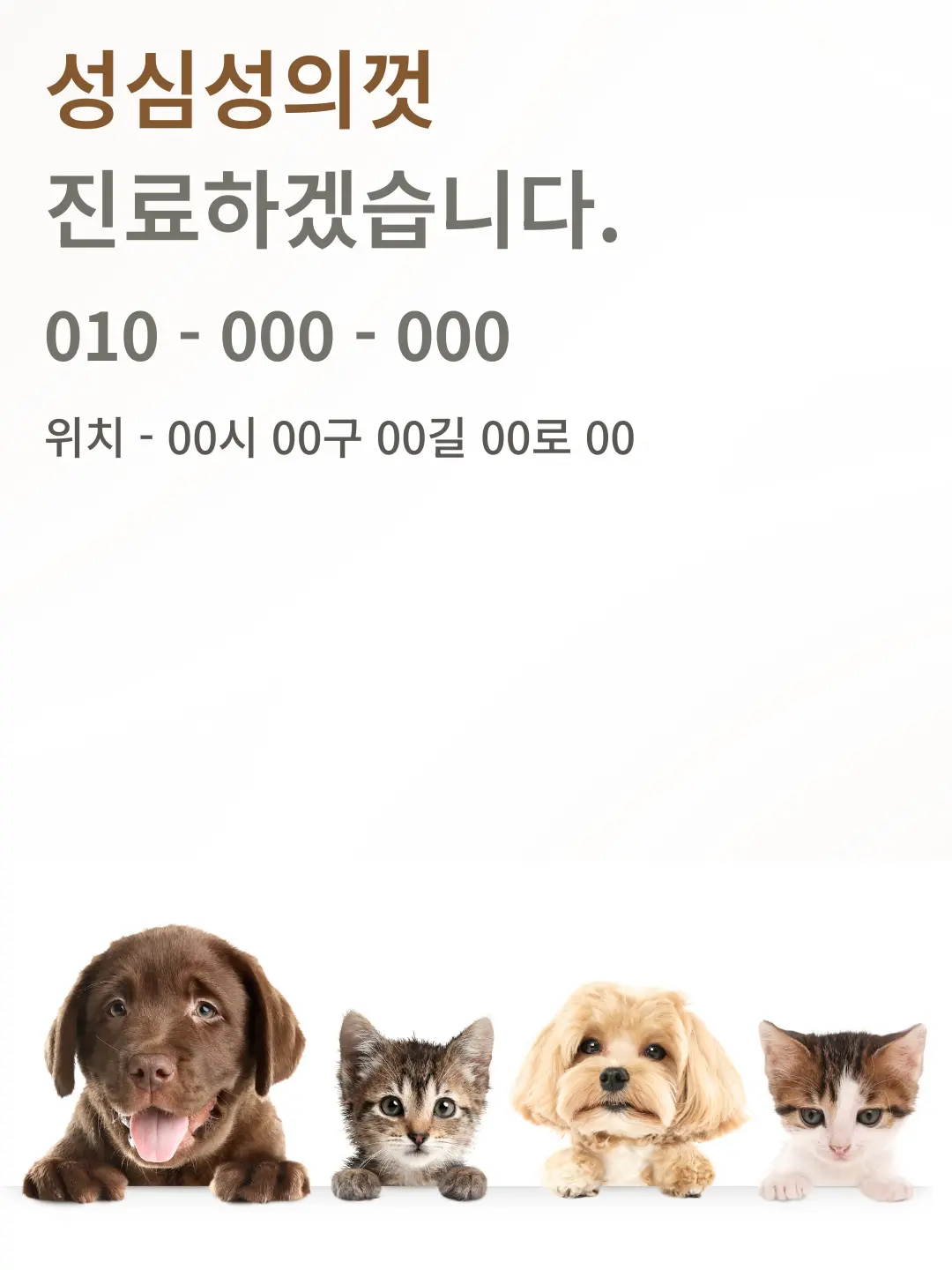 이미지 14