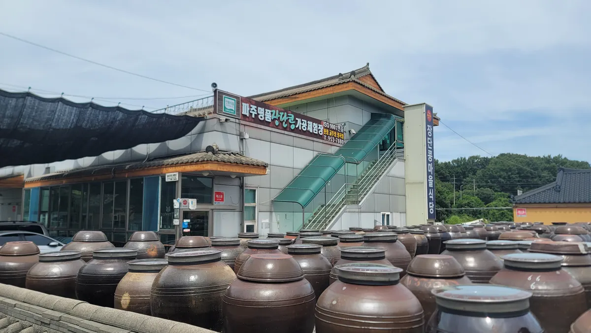 이미지 10