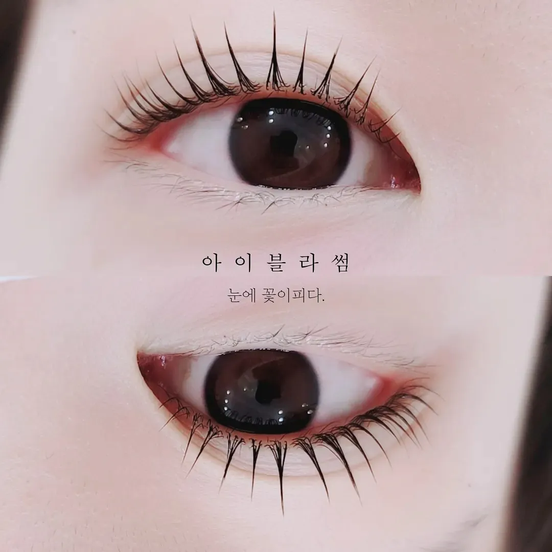 이미지 11