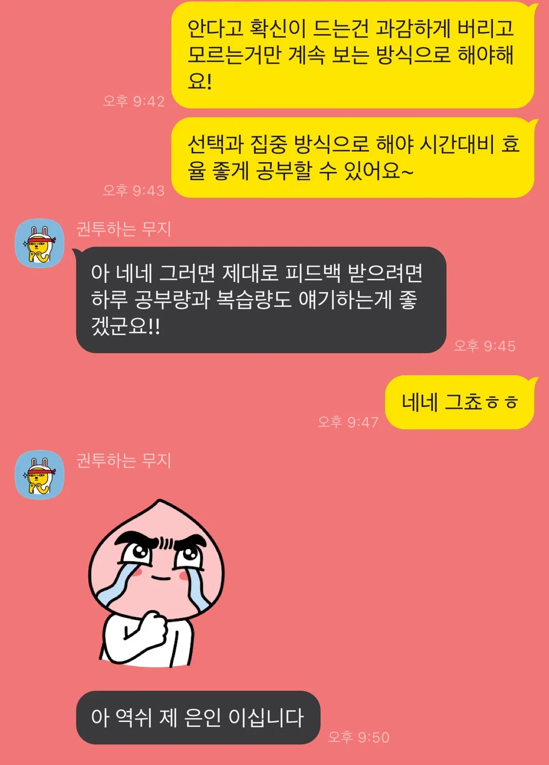 수험생 카톡관리, 상담 / 더나은 - 숨고, 숨은고수 수험생 카톡관리, 상담