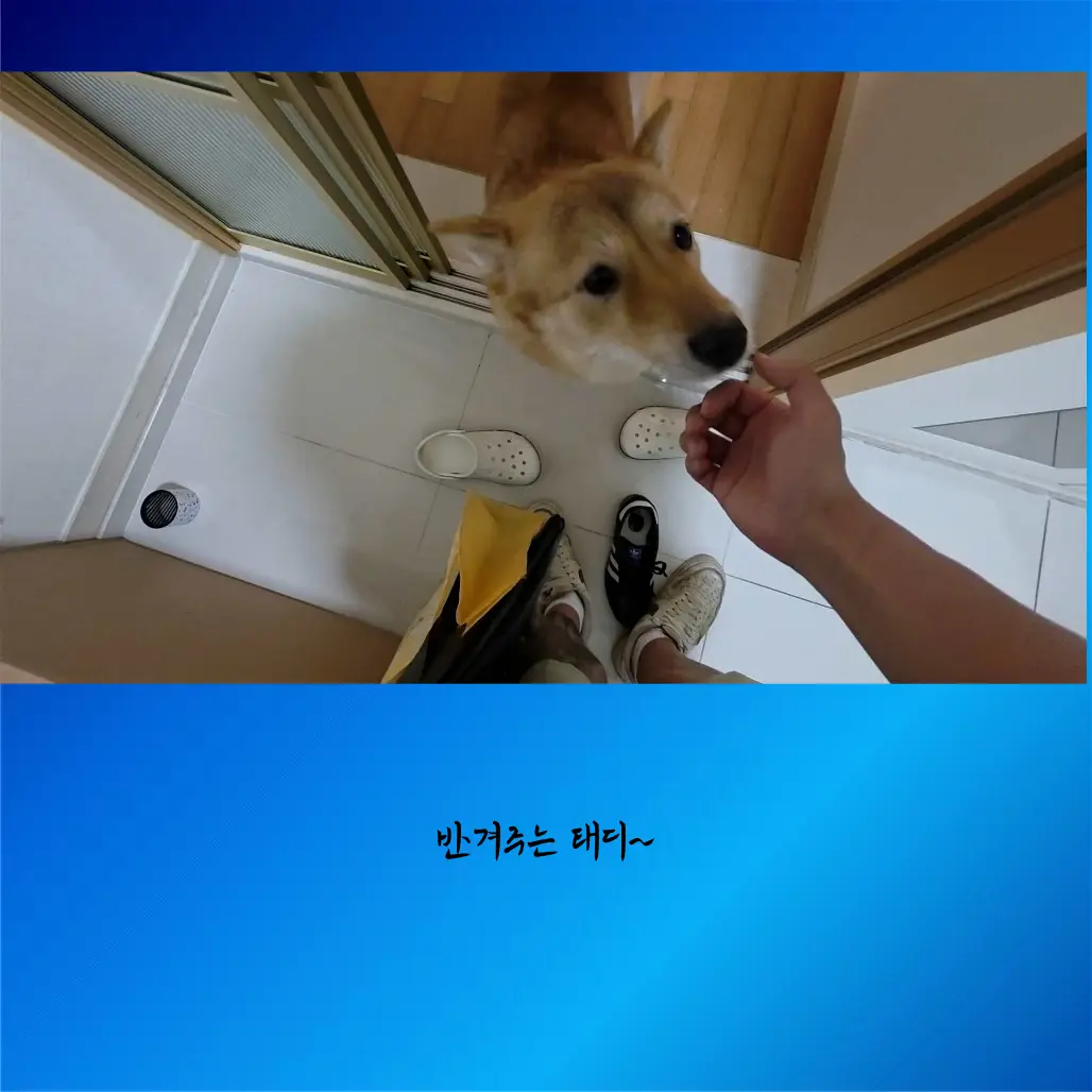 이미지 6