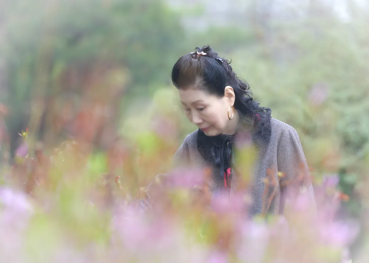 이미지 6