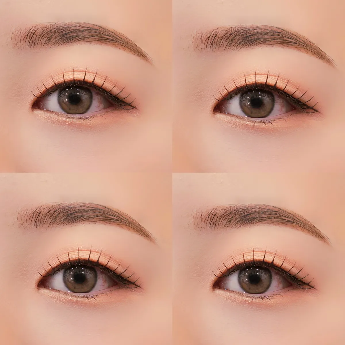 이미지 2