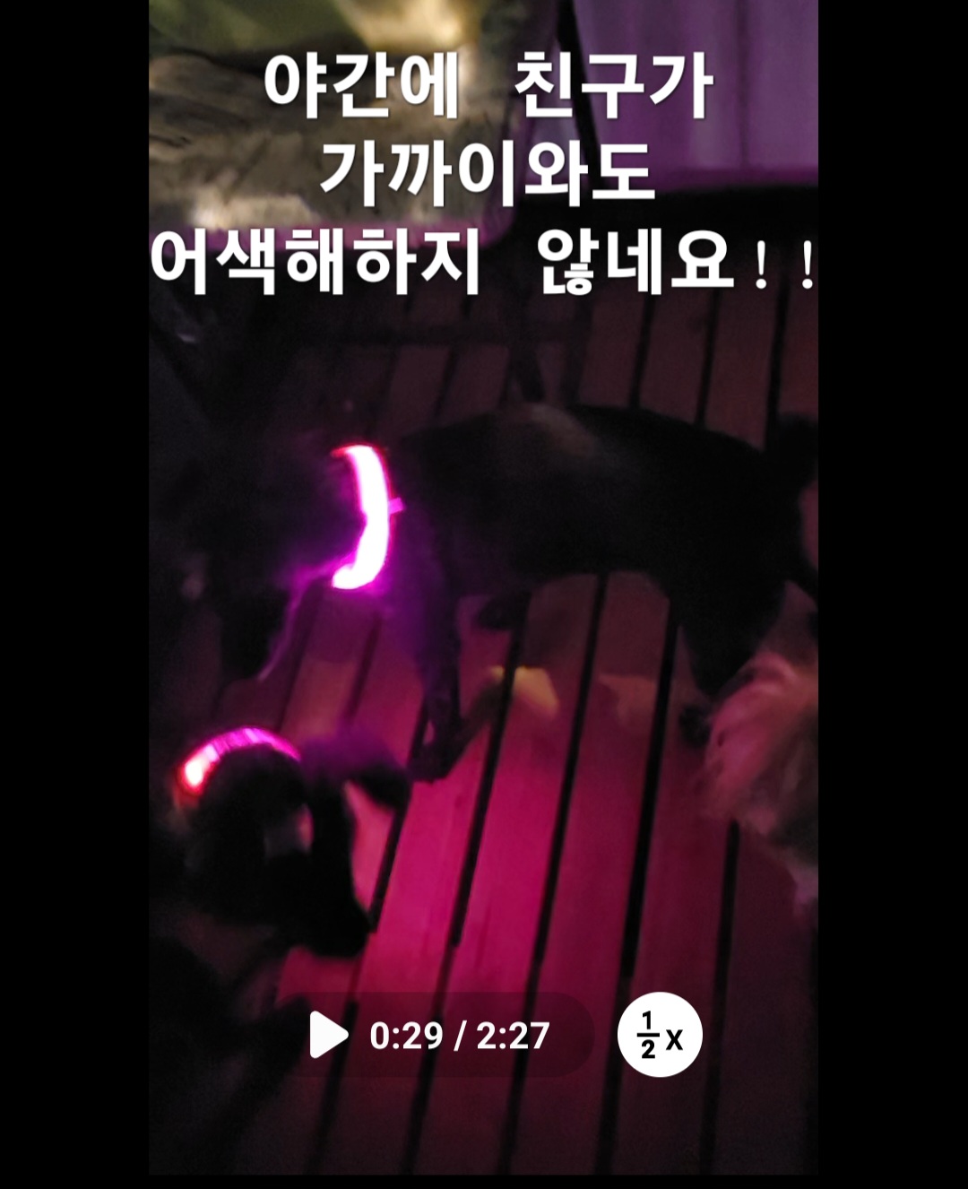이미지 9