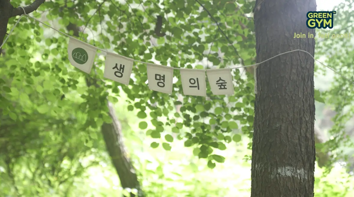 이미지 8