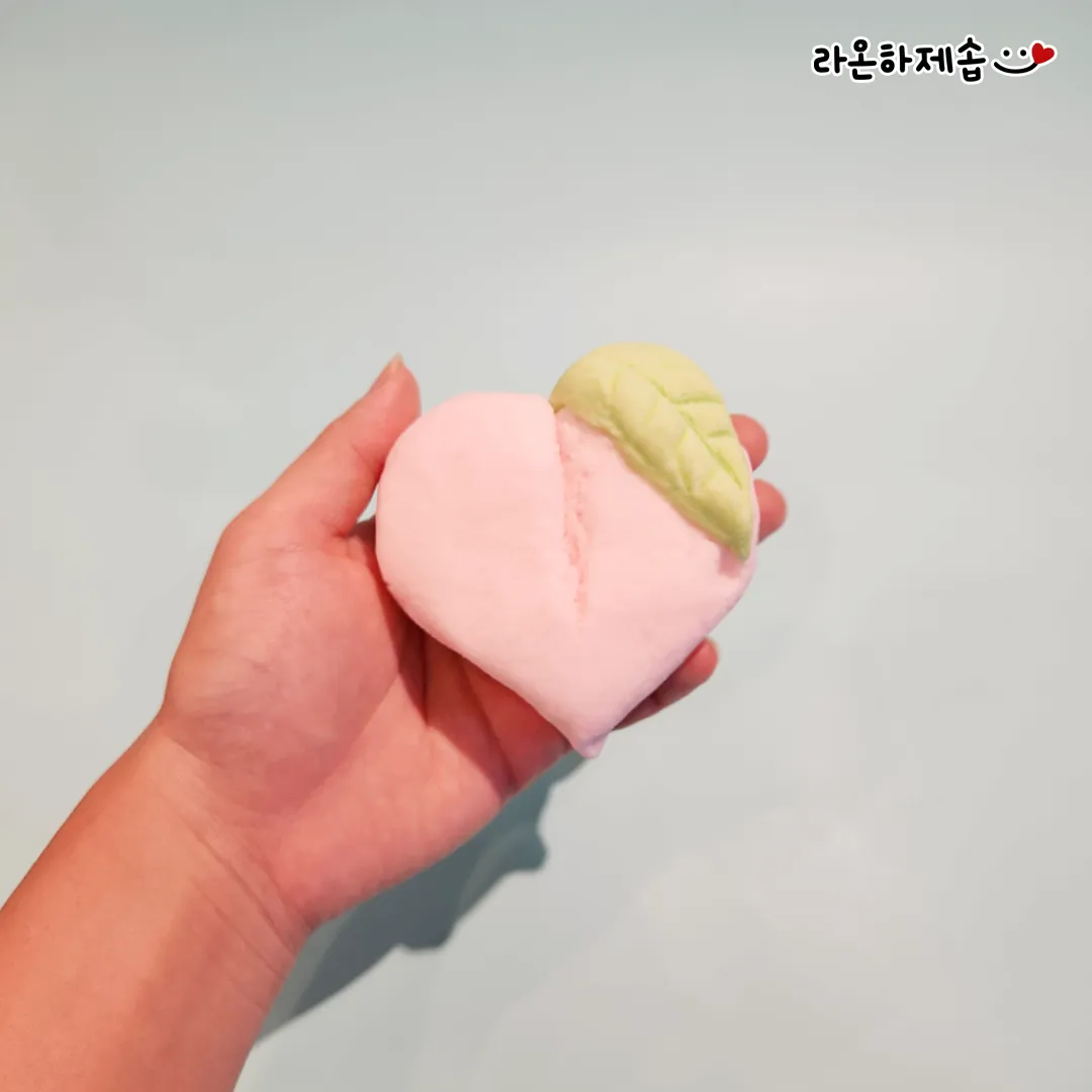 이미지 5