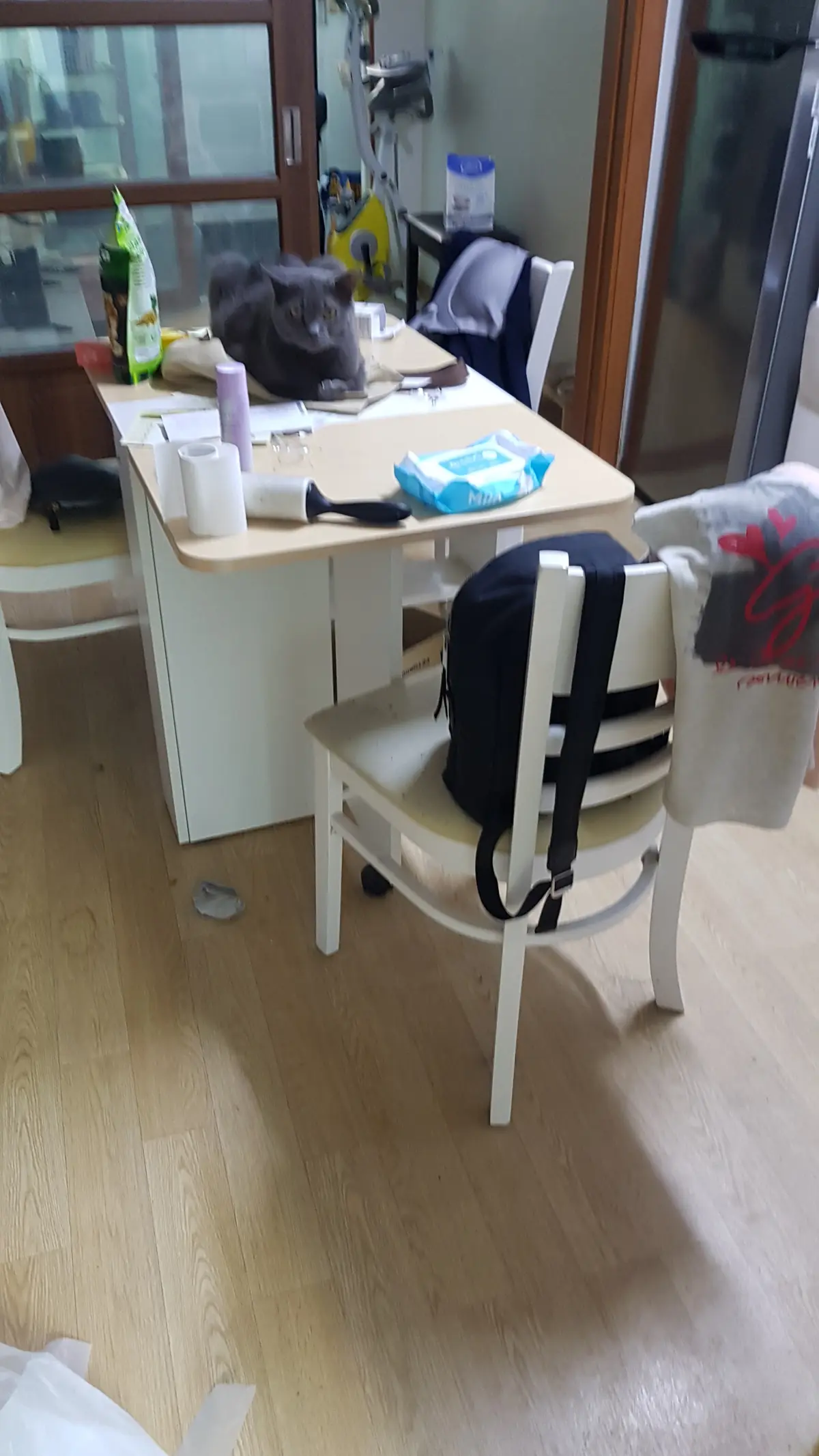 이미지 12