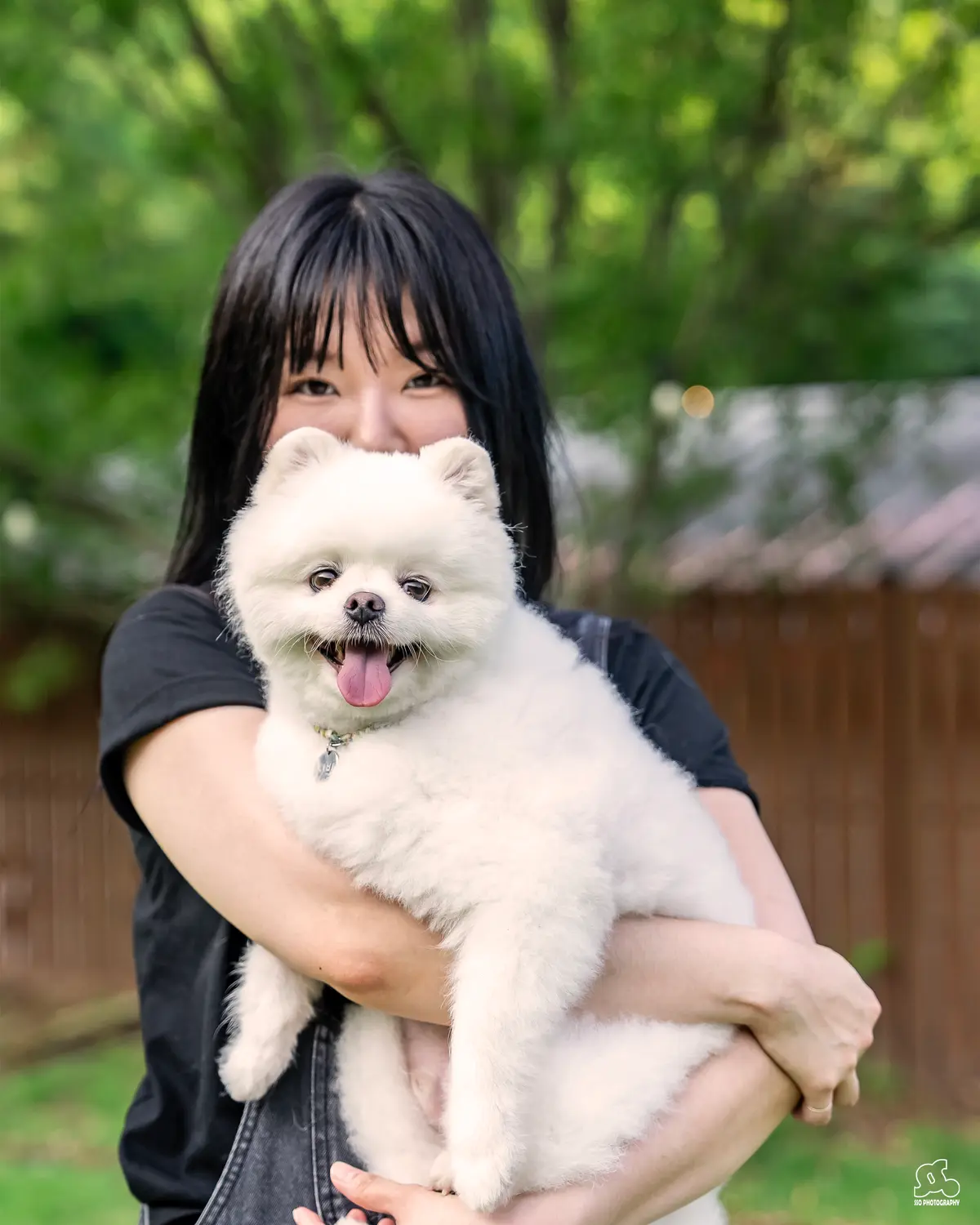 이미지 8