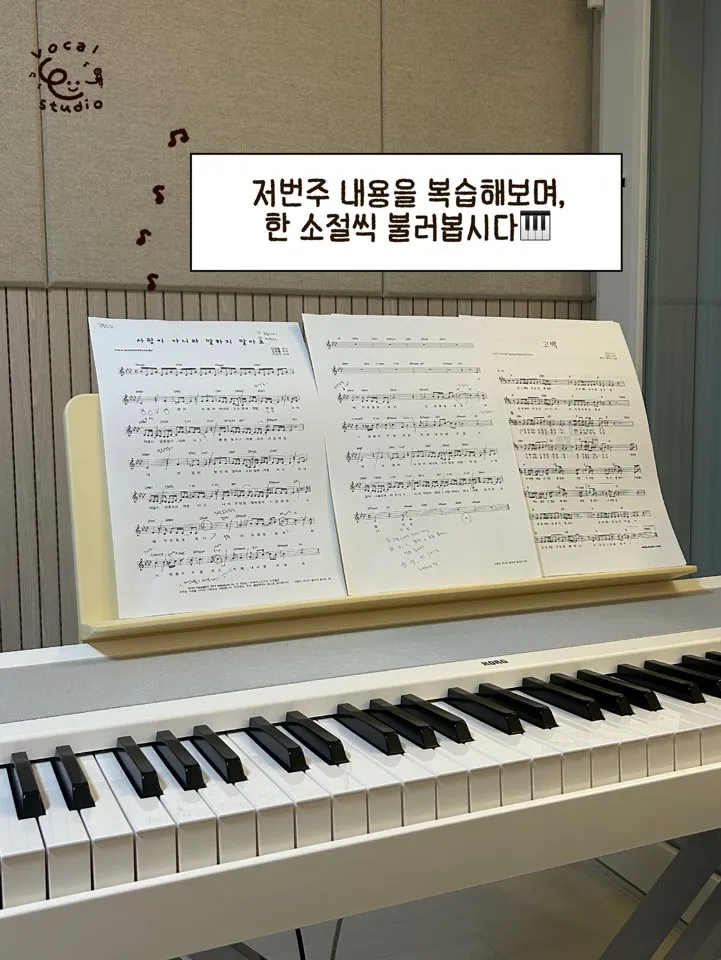 이미지 8
