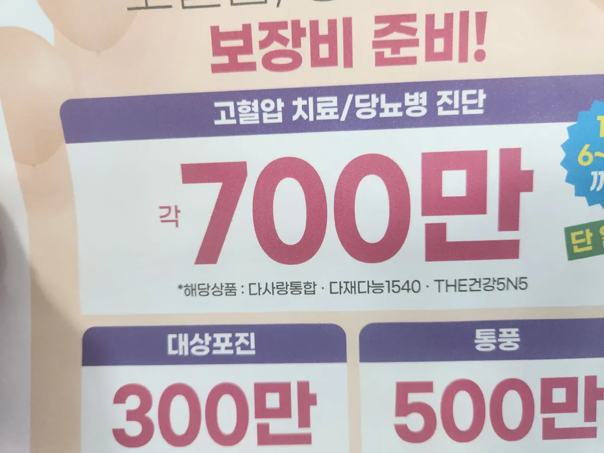 이미지 3