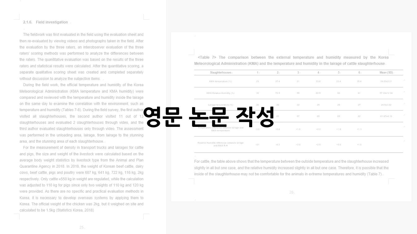 이미지 5