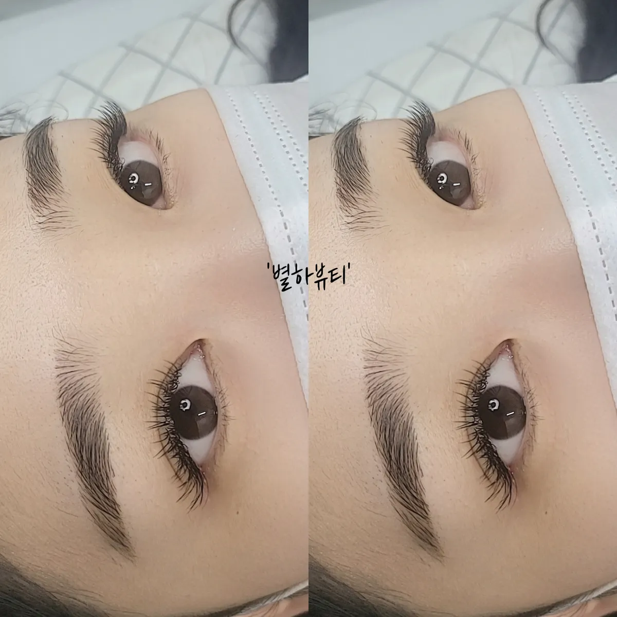 이미지 4