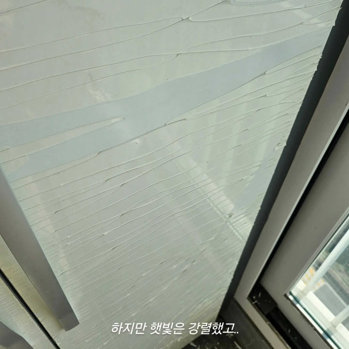 이미지 6