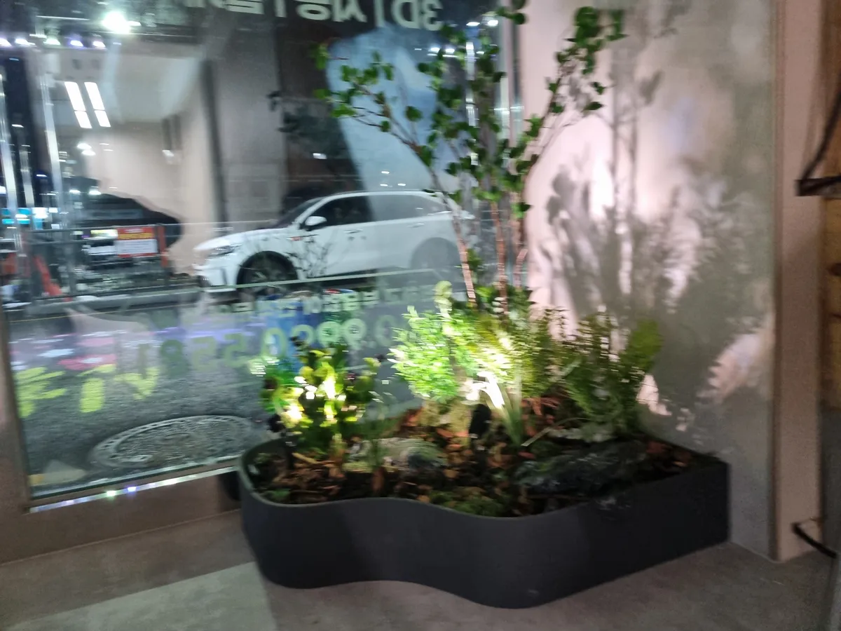 이미지 8