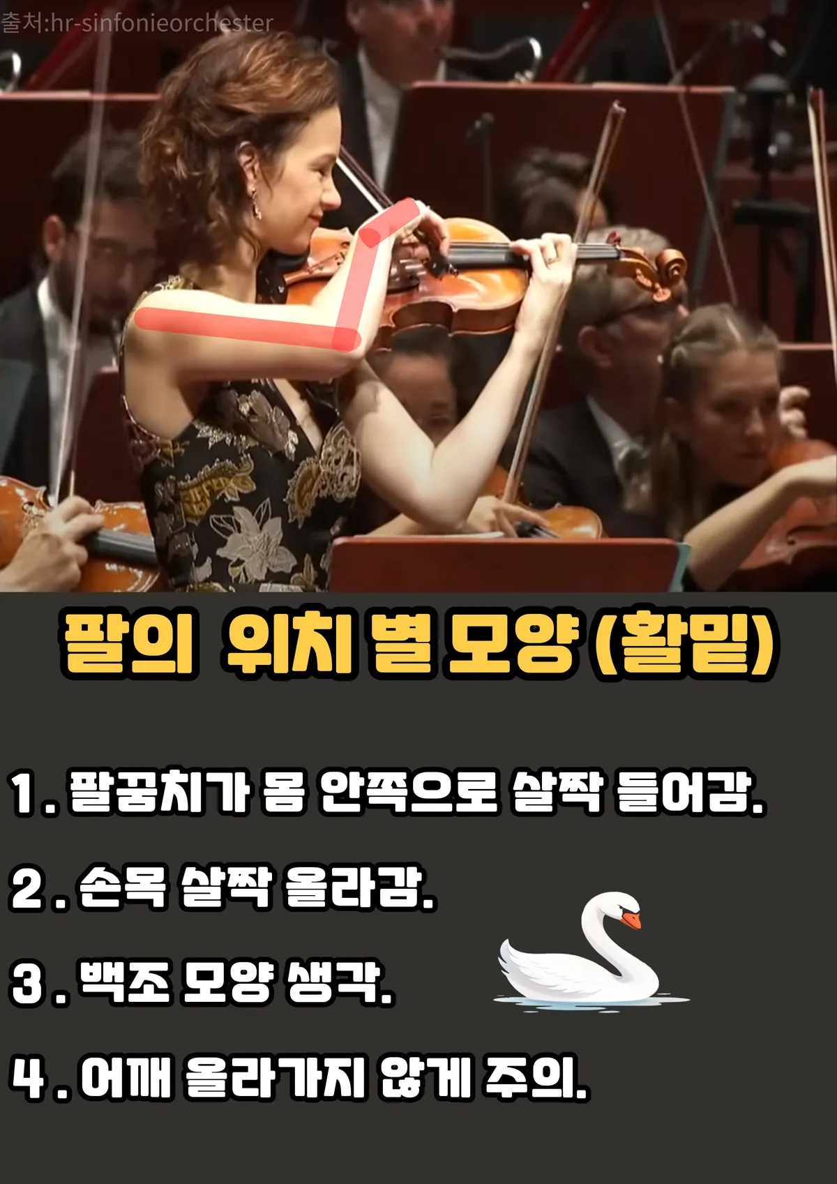 이미지 7