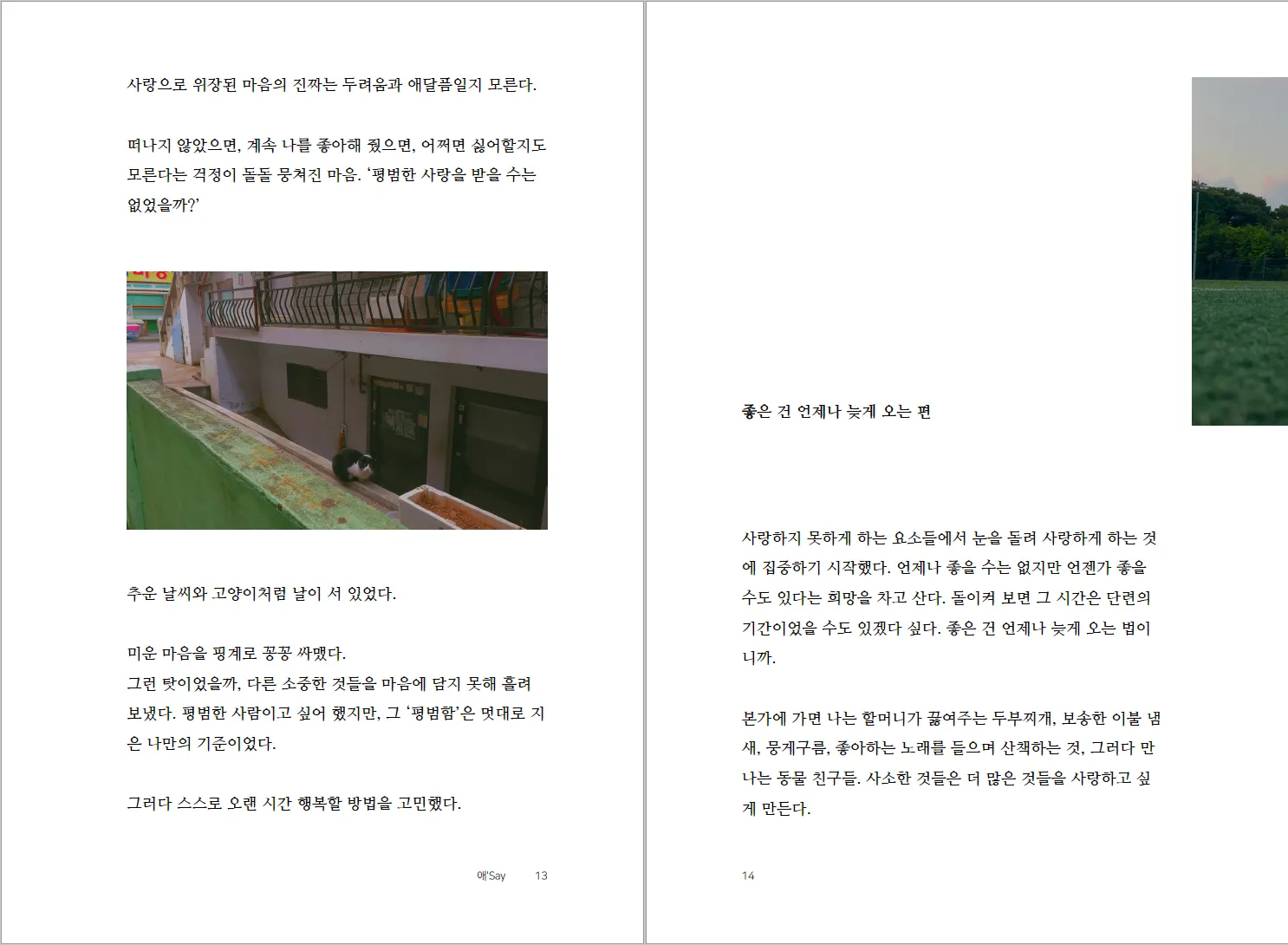 이미지 5