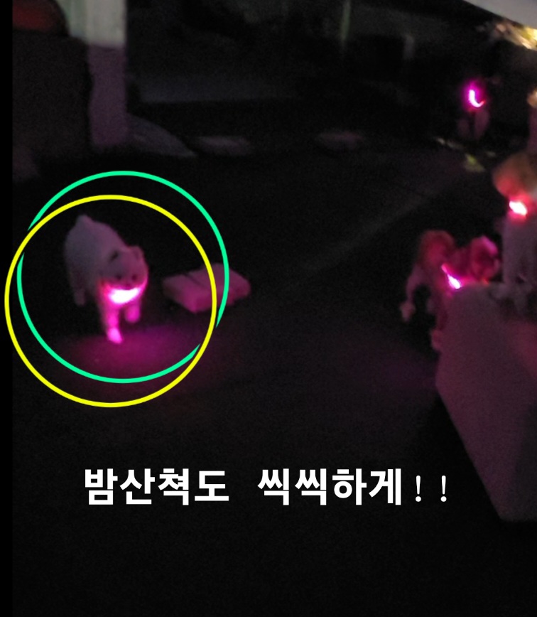 이미지 9