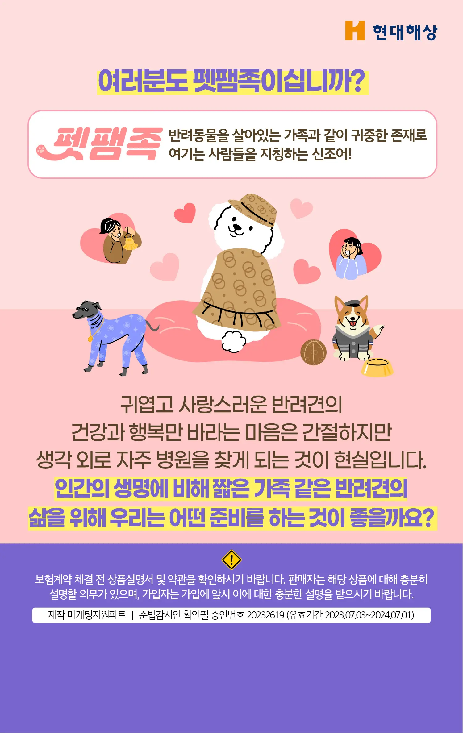 이미지 6