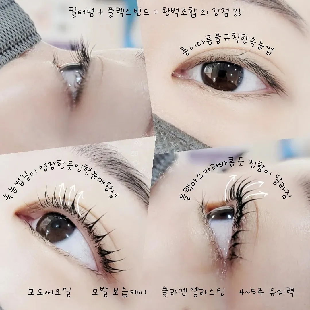 이미지 3