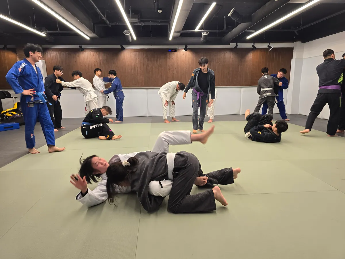 이미지 3