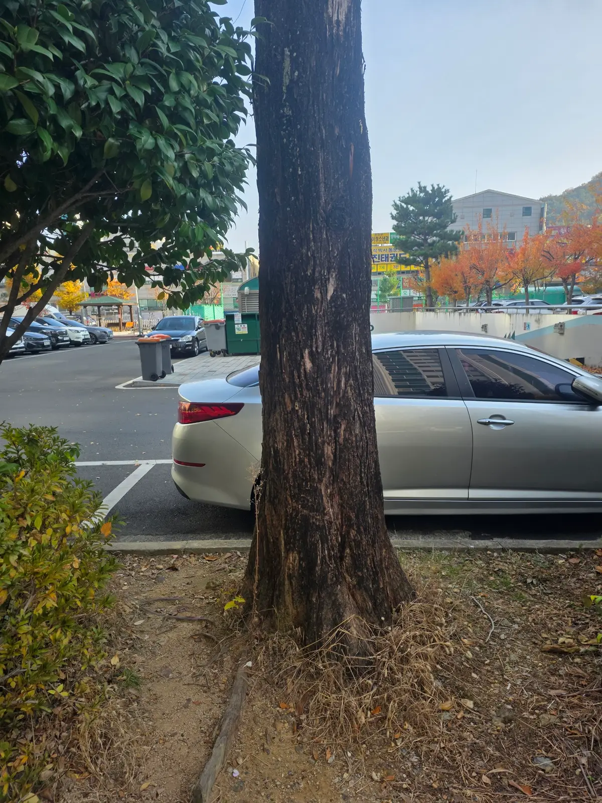 이미지 2