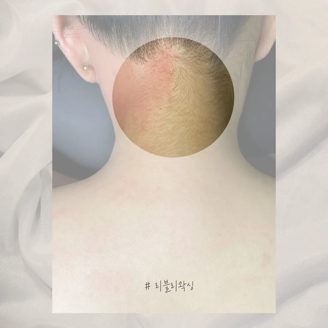이미지 4