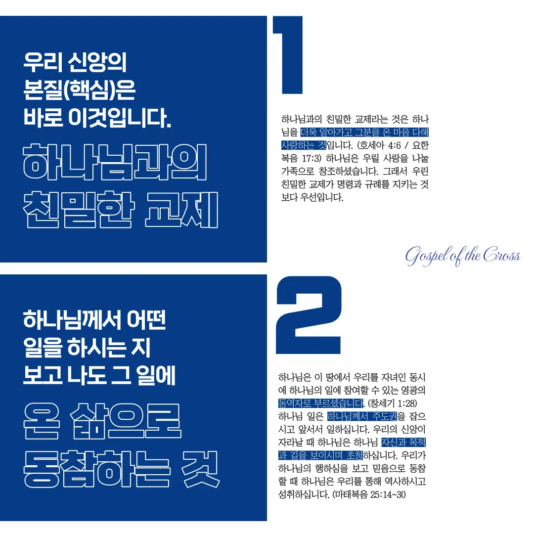 이미지 11