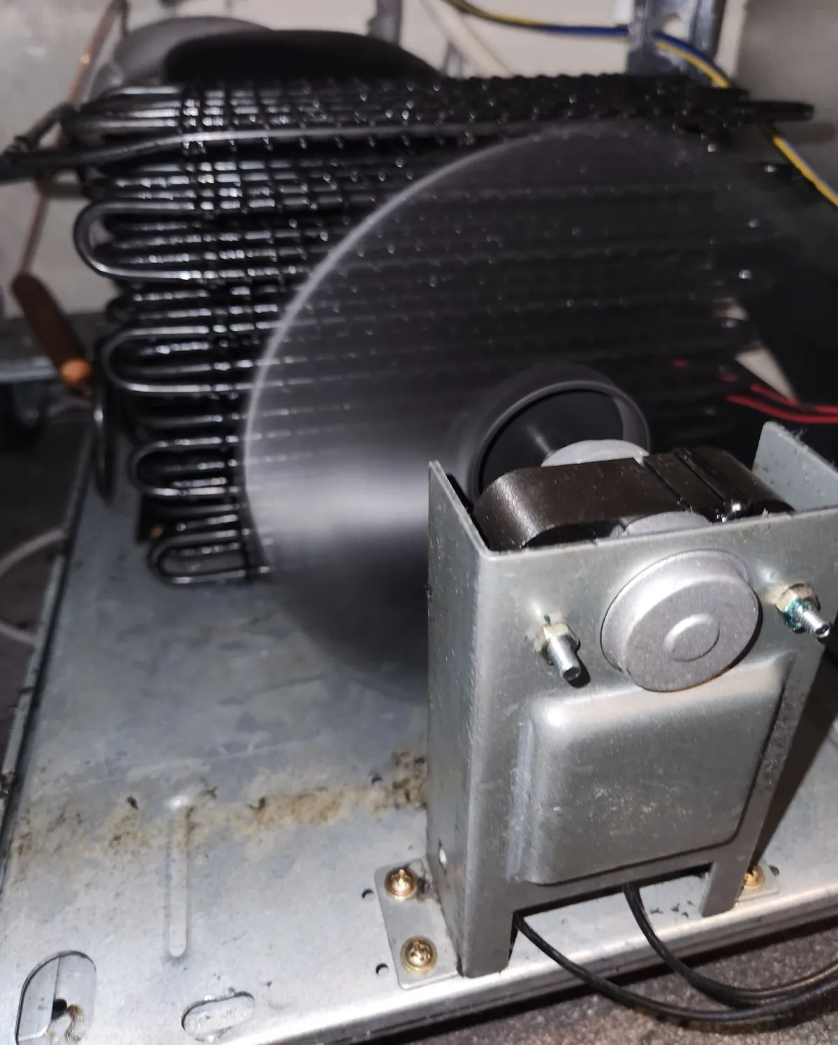 포트폴리오 대표 이미지