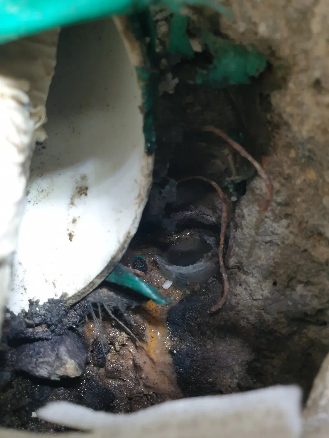 이미지 7