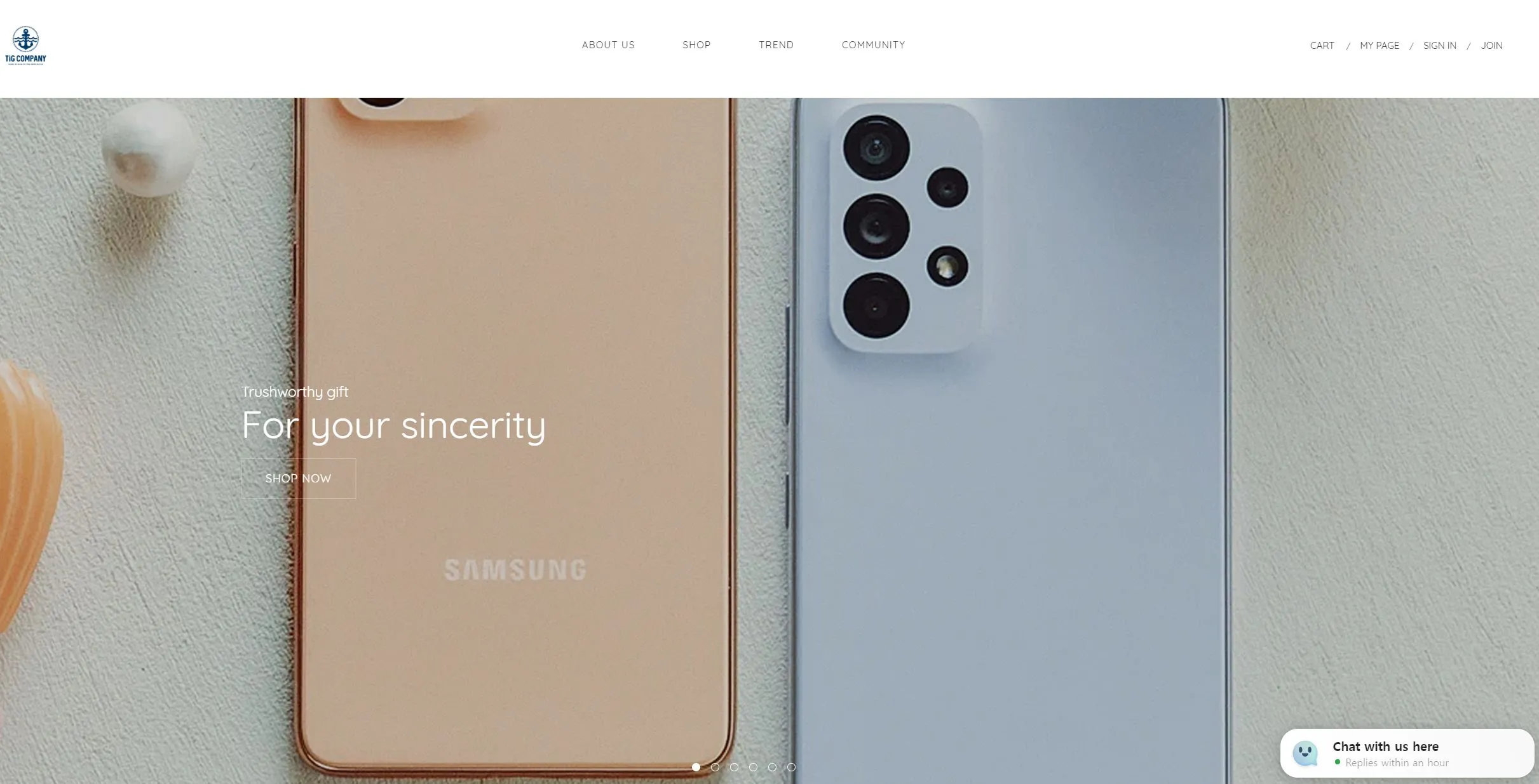 포트폴리오 이미지