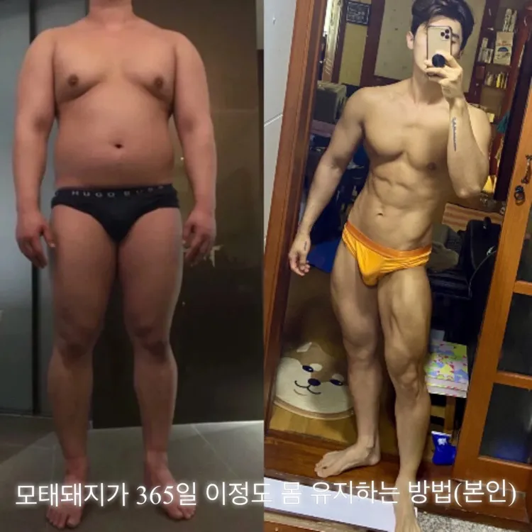 이미지 4