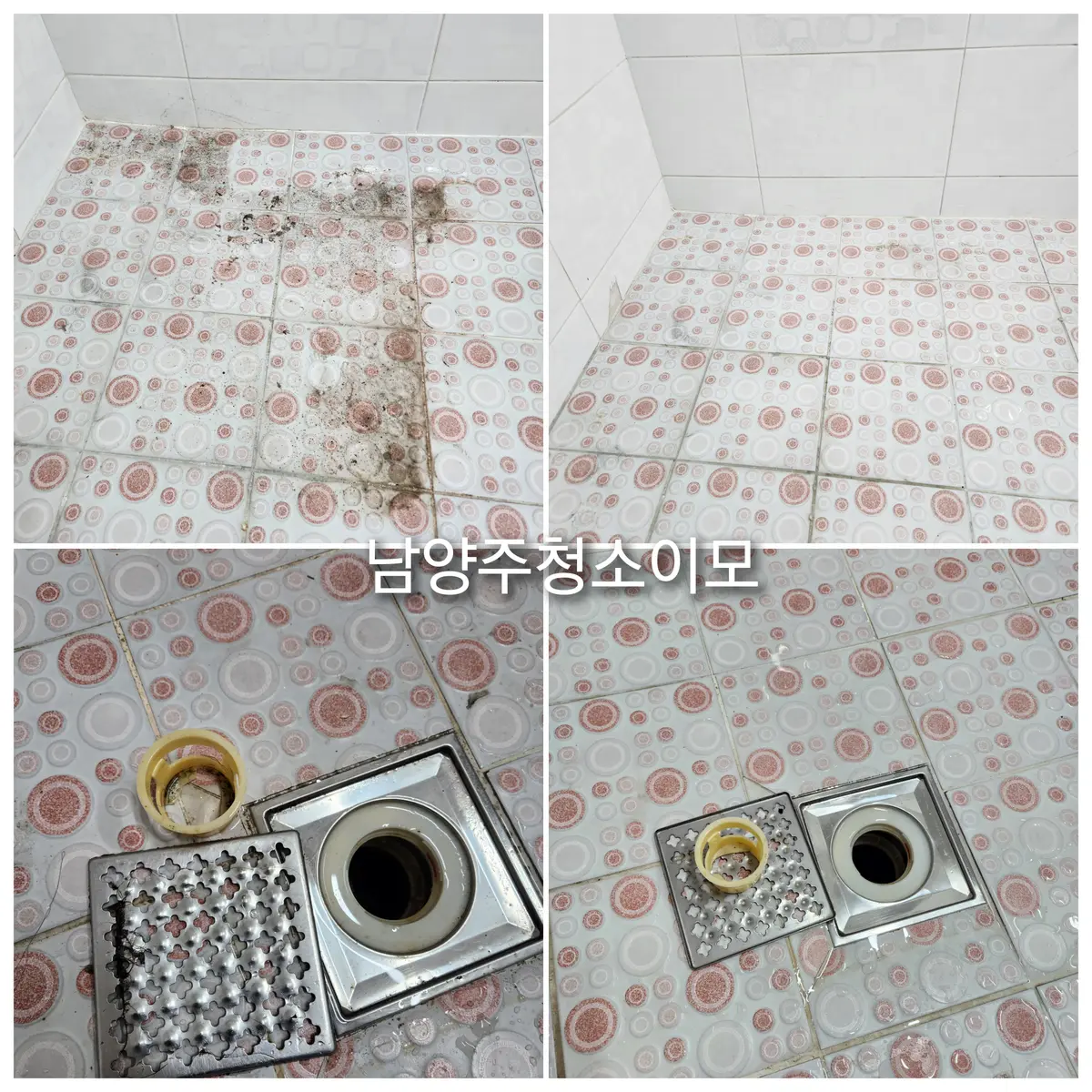 이미지 5