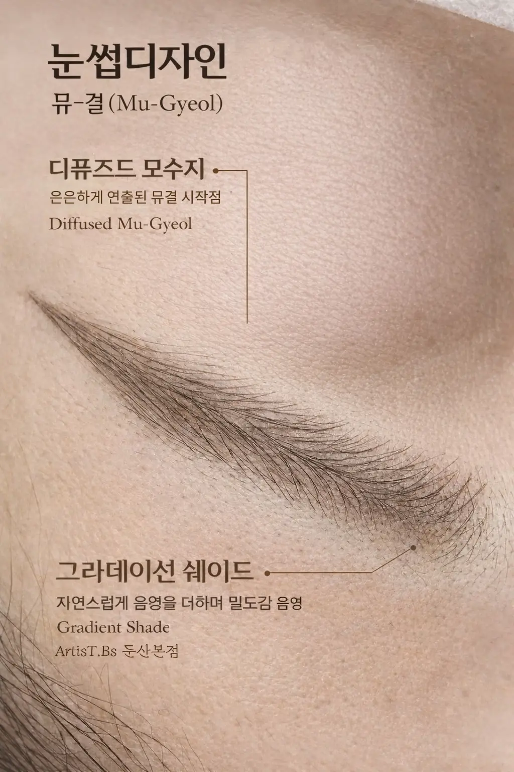 이미지 14