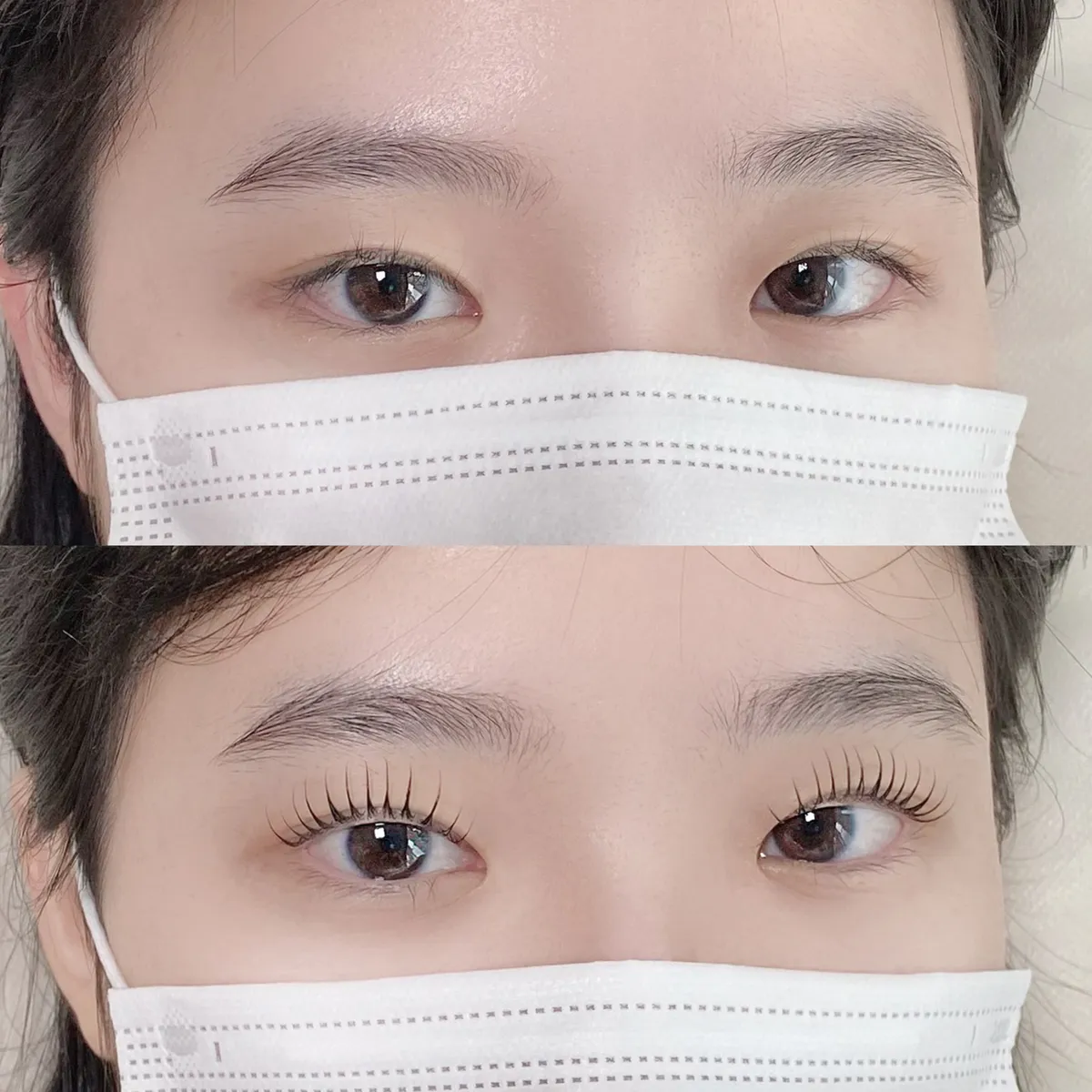이미지 5