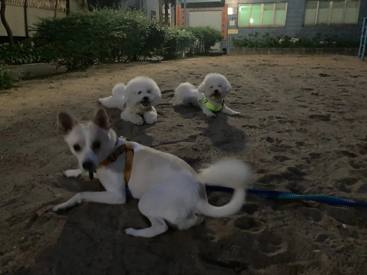 이미지 7