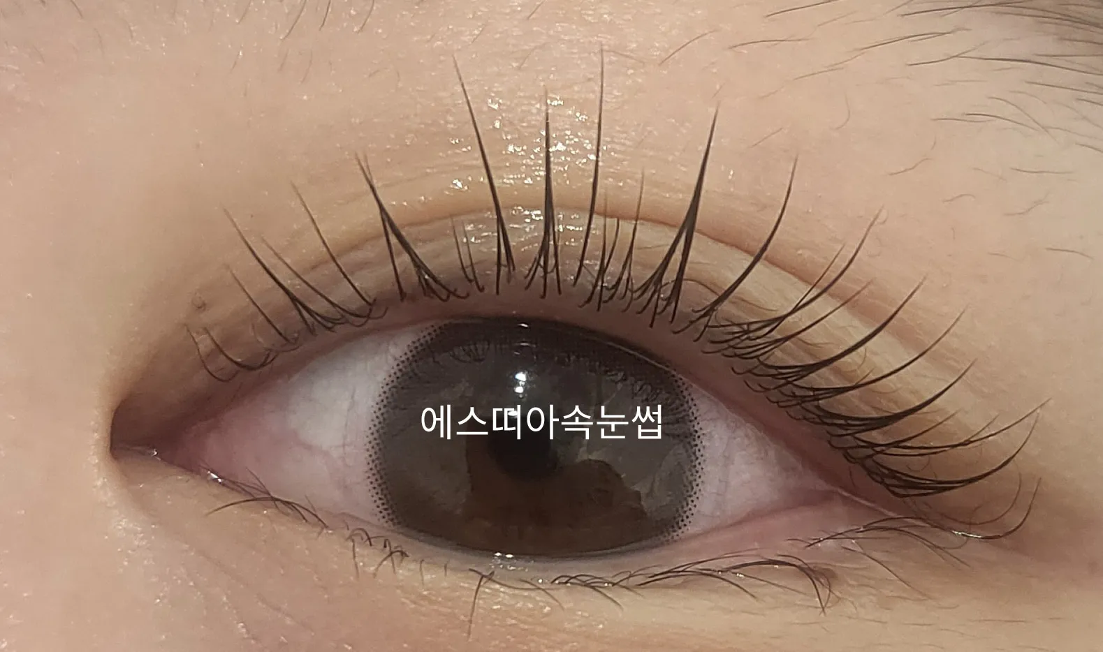 이미지 3