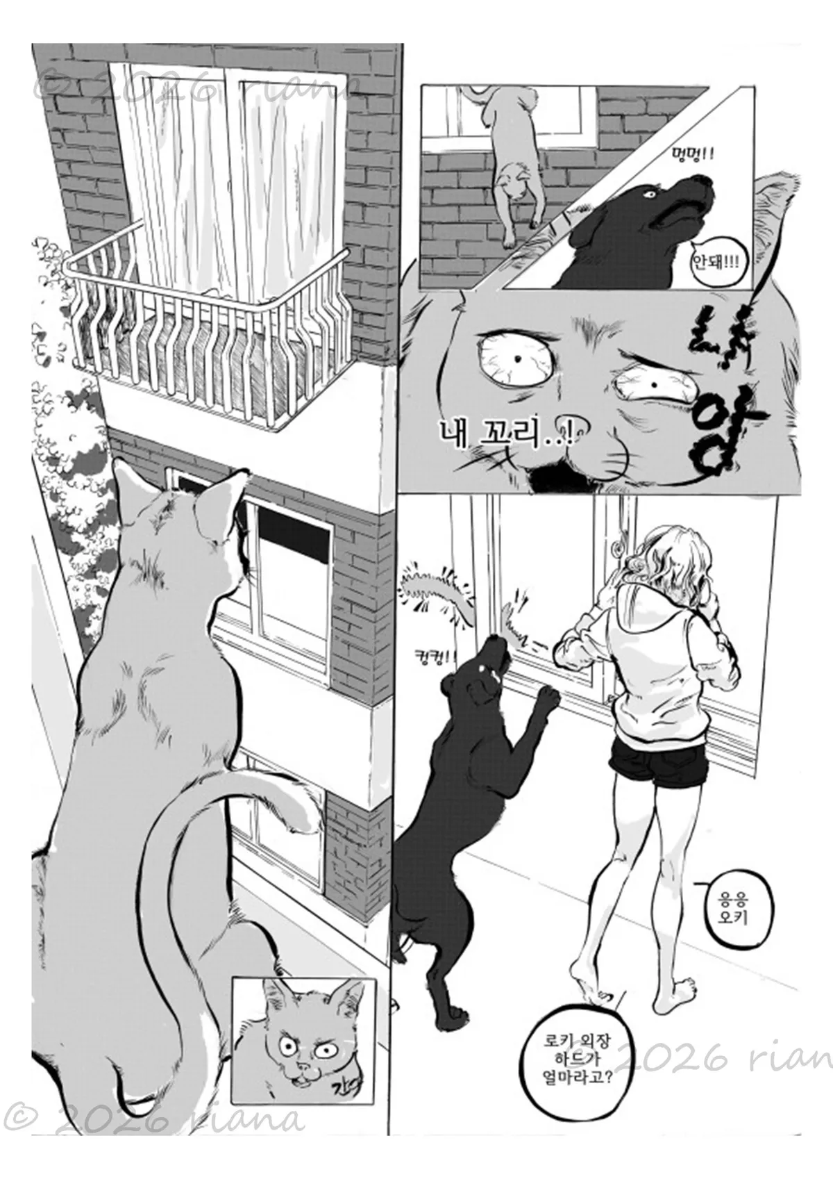 이미지 10