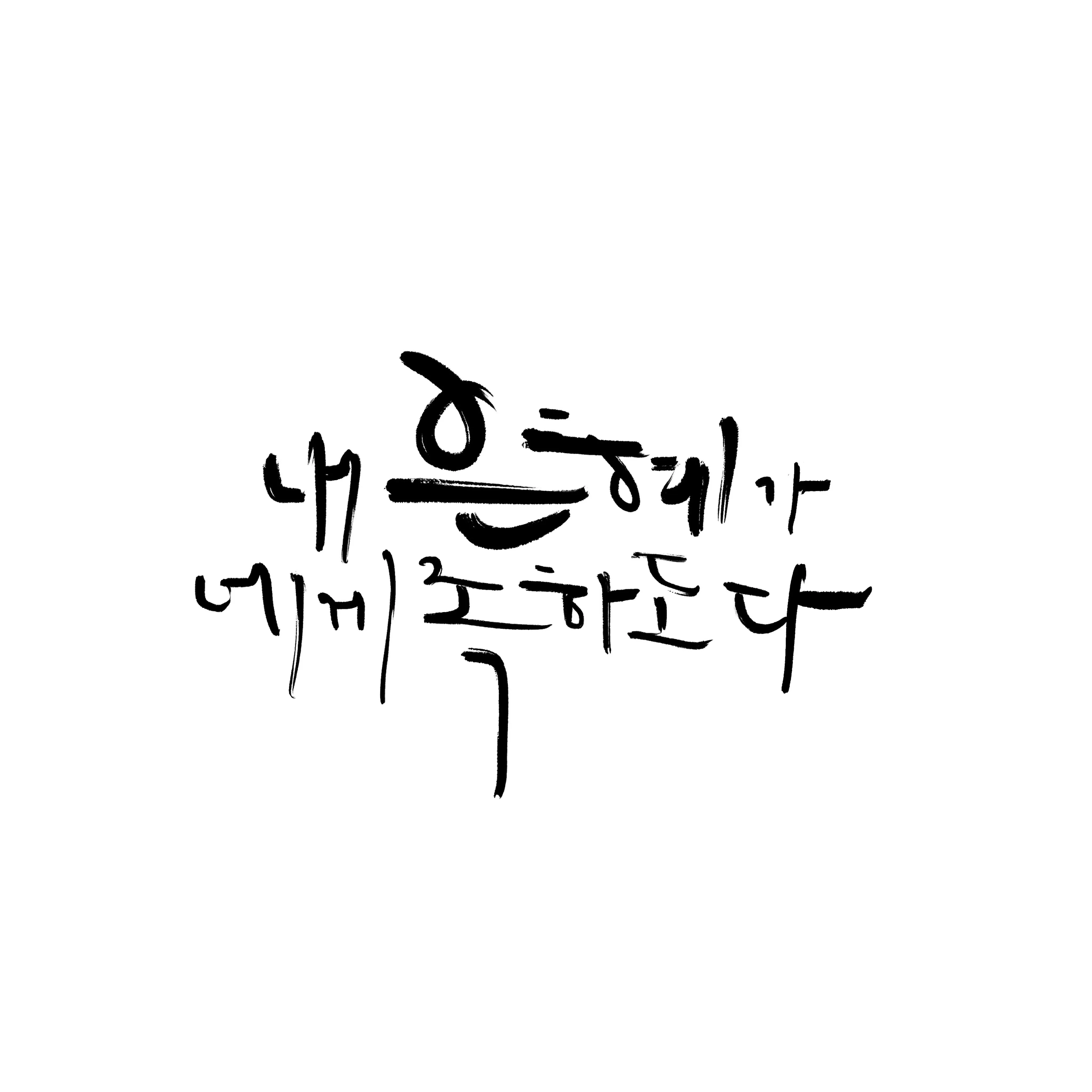 이미지 5