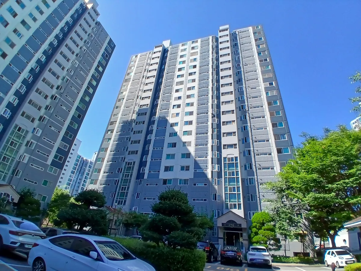 이미지 4