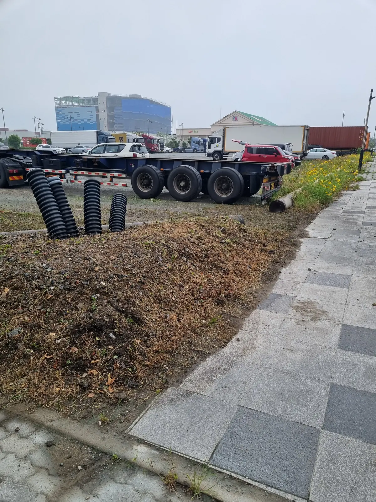 이미지 6