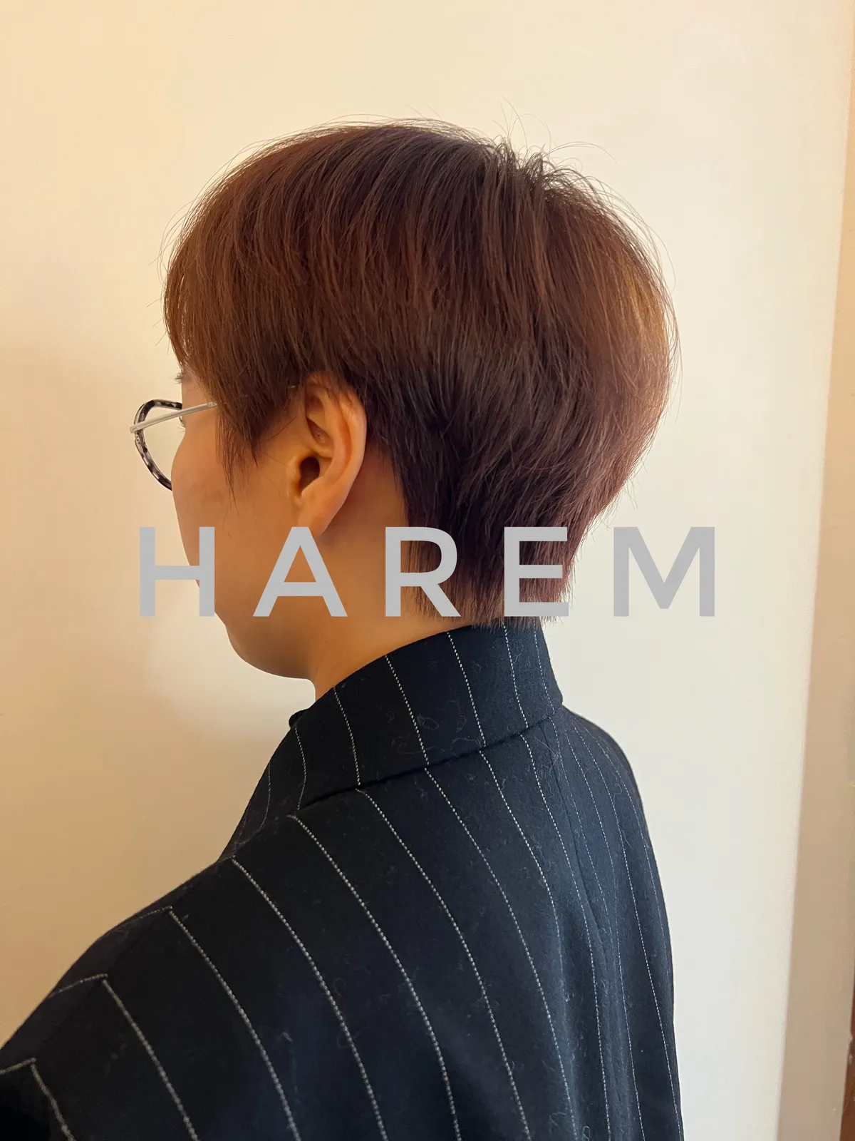 이미지 5