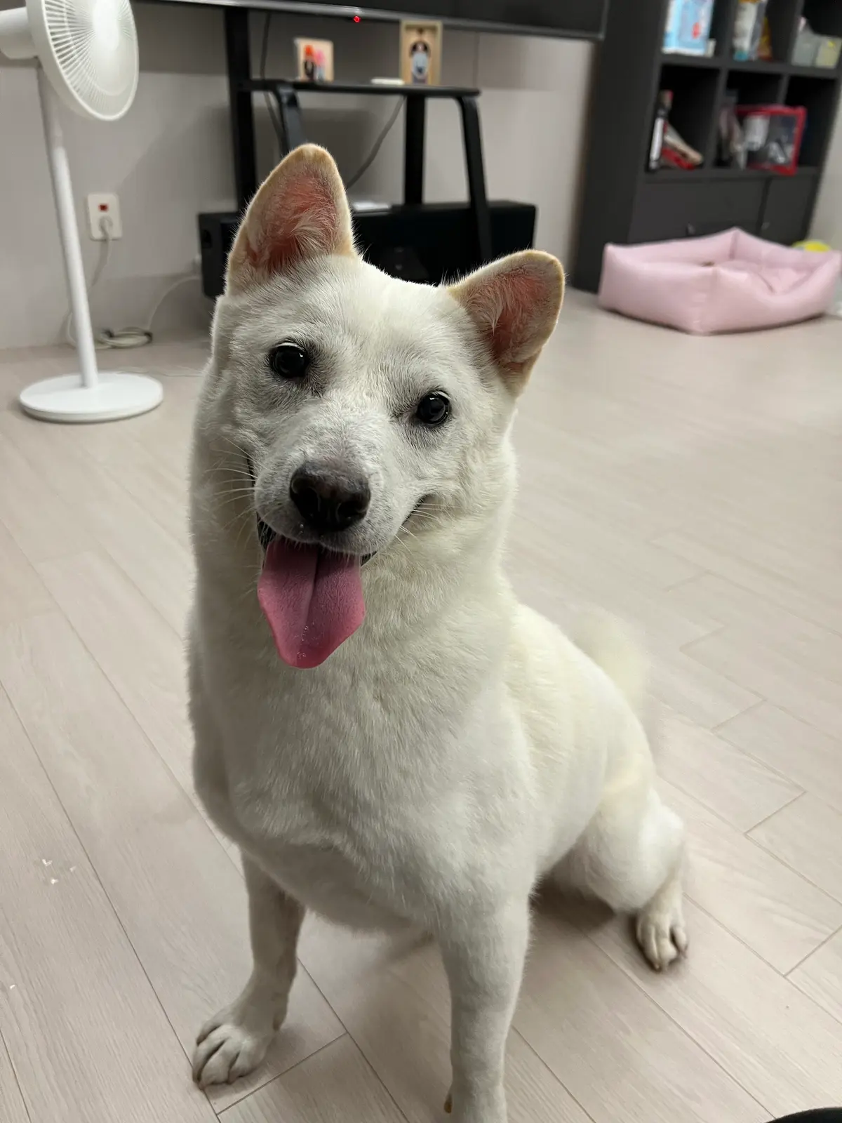이미지 9