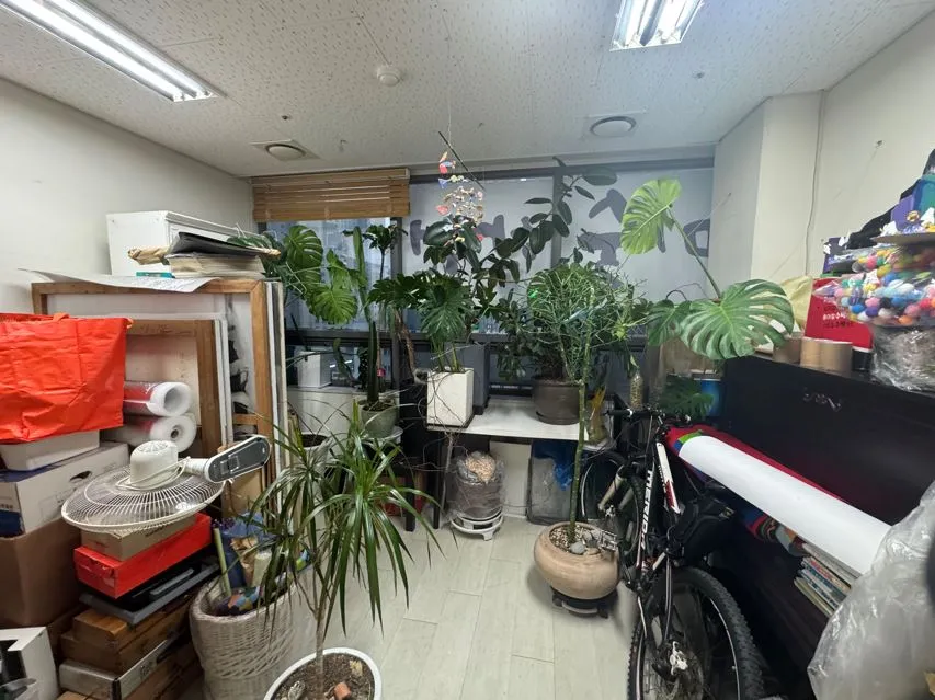 이미지 2