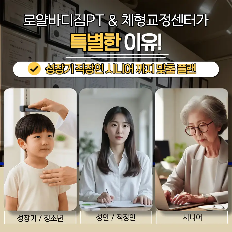 이미지 5