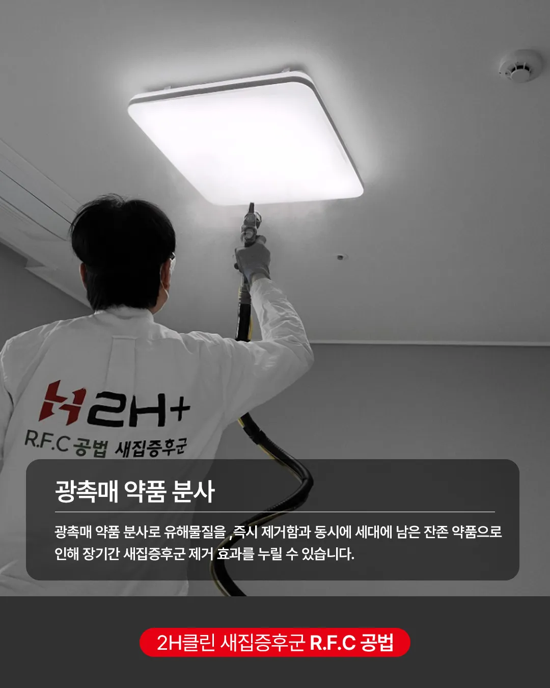 이미지 20